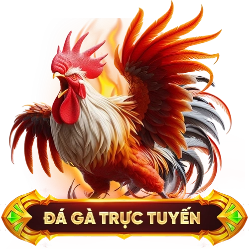 đá gà trực tuyến 18WIN